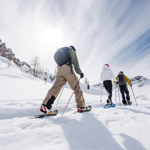 Snowshoe Hikes